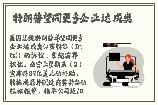 穿着玩具出门测评